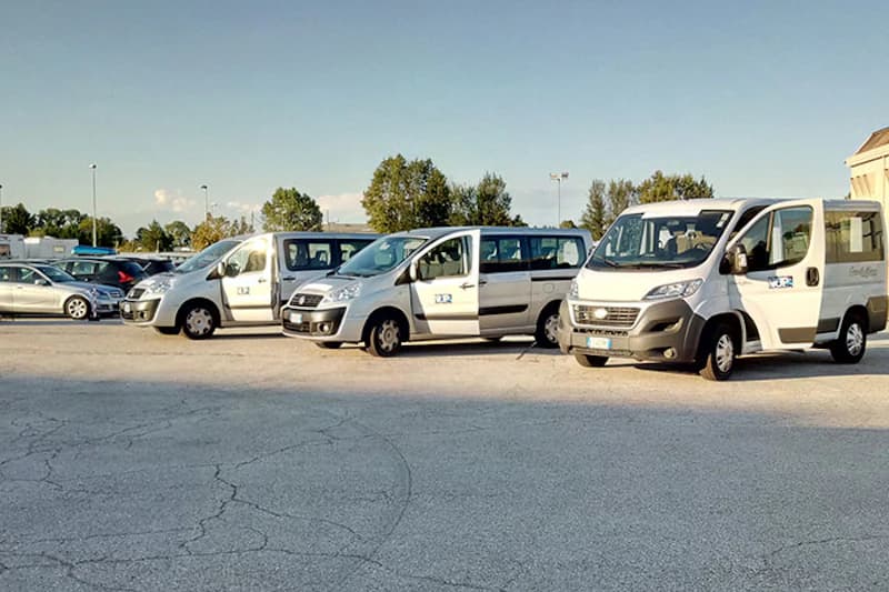 Reihe weißer Kleinbusse und Transporter auf gepflastertem Parkplatz vor Bäumen und klarem Himmel.
